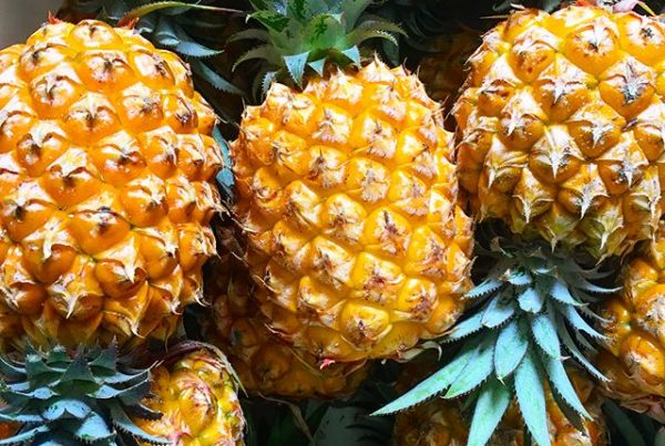 New Year Pineapples